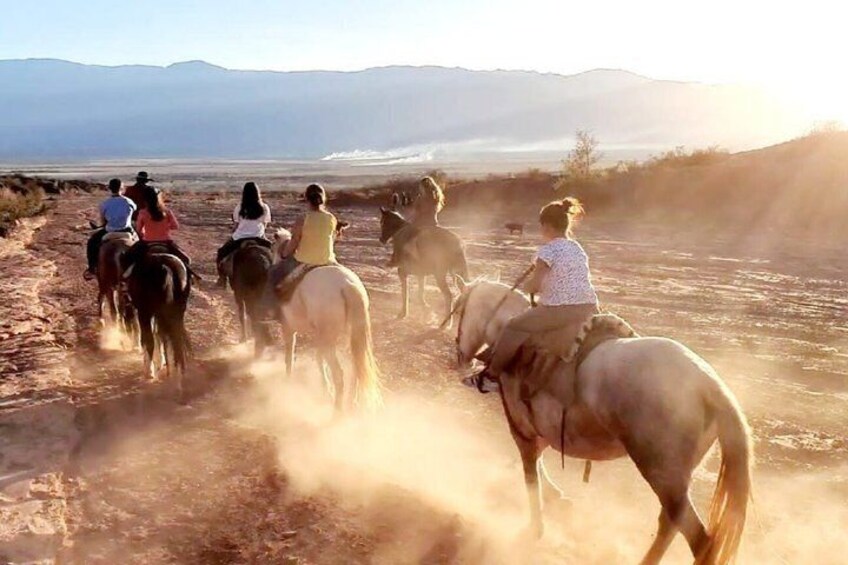 Horseback Riding Los Colorados Horseback Riding Adventure in Cafayate 5
