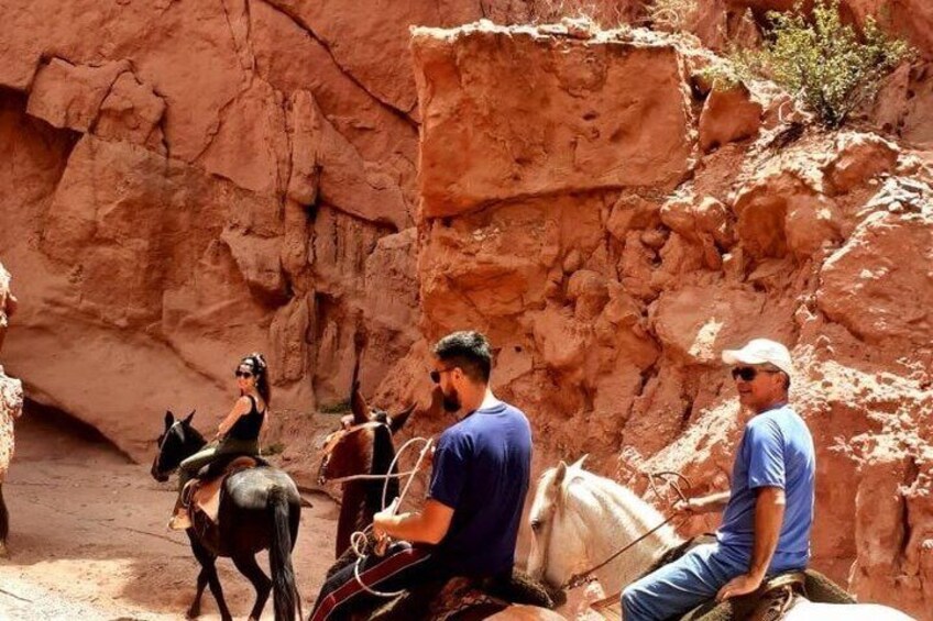 Horseback Riding Los Colorados Horseback Riding Adventure in Cafayate 3