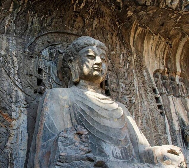 Picture 7 for Activity Luoyang: Longmen Grottoes & Erlitou Museum Private Day Tour 3