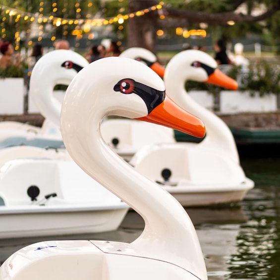 Picture 2 for Activity Aperitif on the swan pedal boat at the Laghetto dell'Eur 5