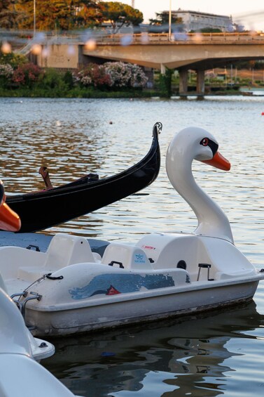 Picture 5 for Activity Aperitif on the swan pedal boat at the Laghetto dell'Eur 3