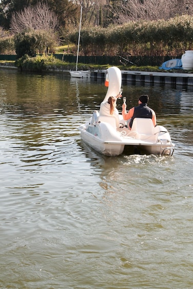 Picture 13 for Activity Aperitif on the swan pedal boat at the Laghetto dell'Eur 2