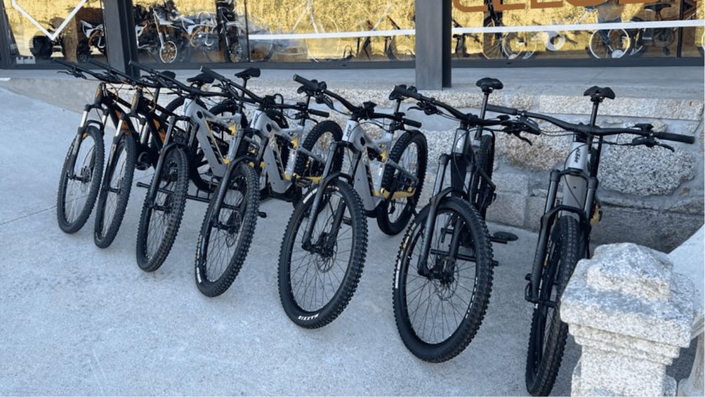 Picture 5 for Activity Rent-a-Ebike: Explore 40 km of the old Tâmega railway line 2