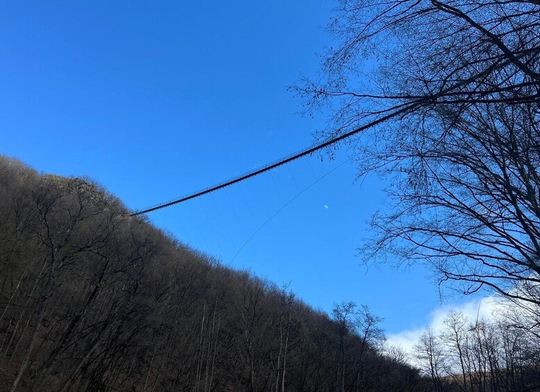 Picture 4 for Activity Geierlay: Evening hike 4