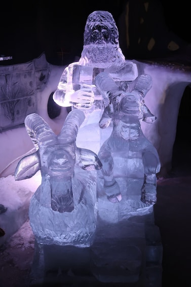 Picture 3 for Activity Lofoten: Magic Ice Bar Entry Ticket with Welcome Drink 5