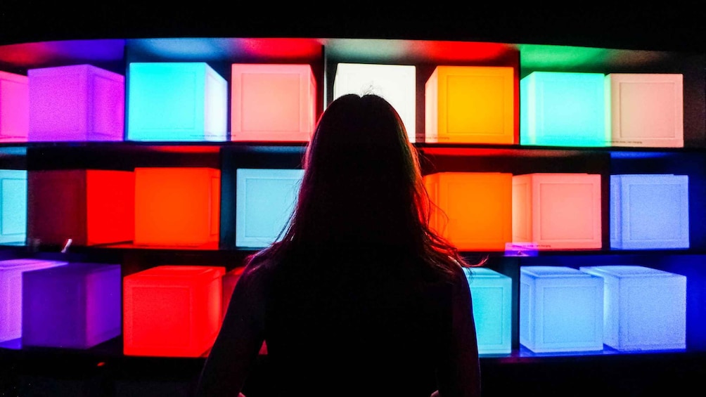 Picture 4 for Activity Singapore: ArtScience Museum® teamLab Future World 5