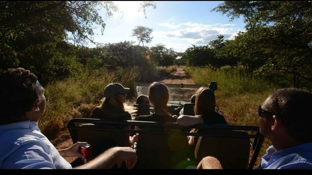 Picture 2 for Activity Lusaka: Guided Safari with Elephant and Cheetah Interaction 4
