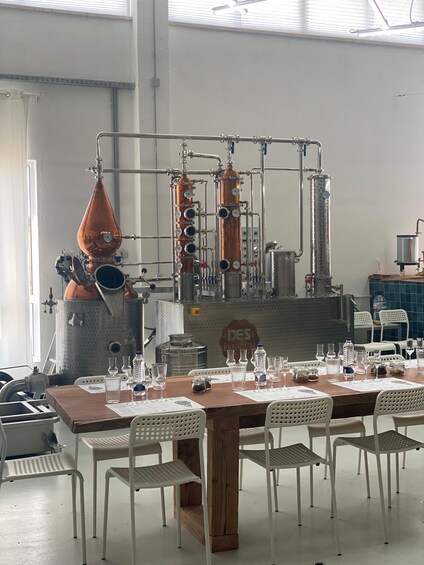 Picture 6 for Activity Coimbra: Black Wolf Distillery Tour with Lunch & Drinks 4