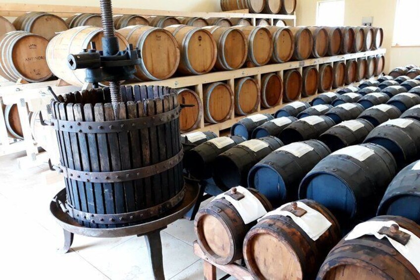 Balsamic Vinegar Tasting Tour Acetaia Angelo 1