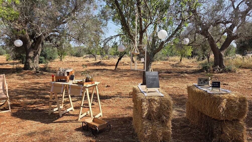 Picture 2 for Activity Ostuni: Olive Woodwork Masterclass with Master Craftman 5