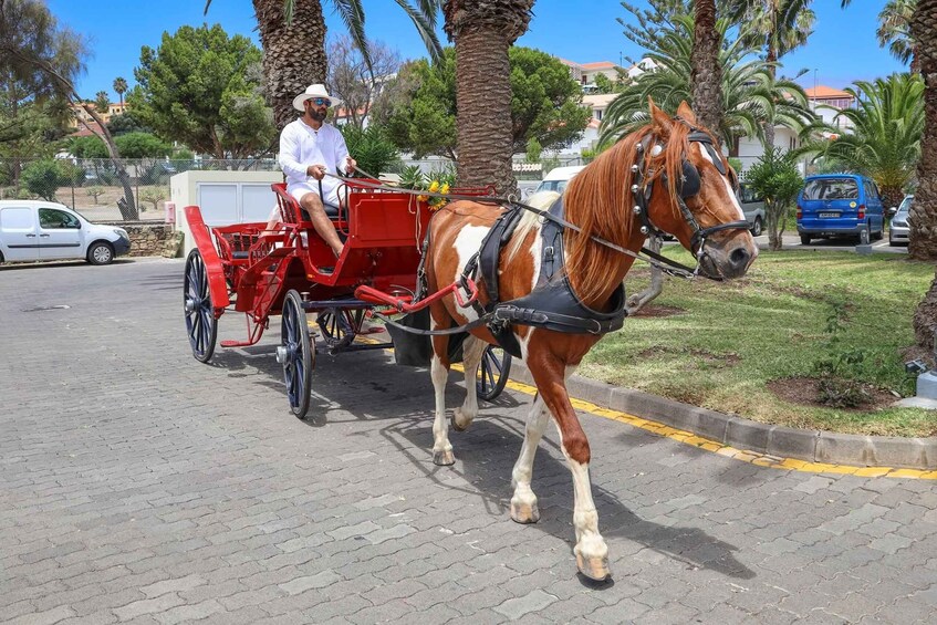 Picture 5 for Activity Wagon Tour of Porto Santo 4