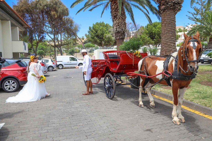 Picture 6 for Activity Wagon Tour of Porto Santo 5