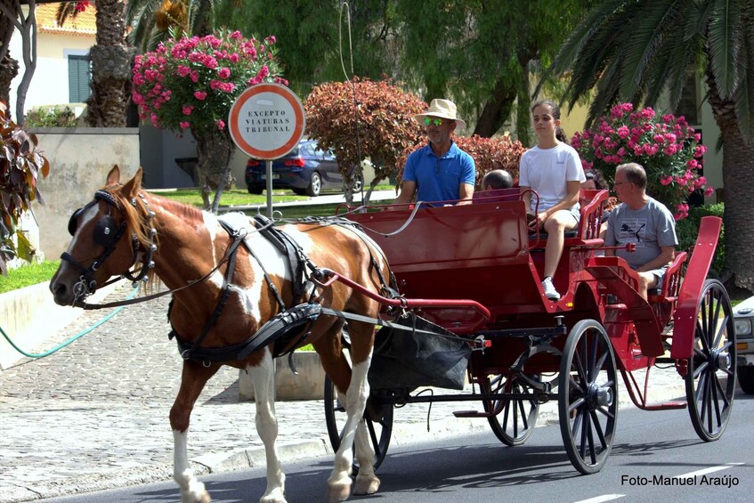Wagon Tour of Porto Santo 1