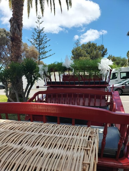 Picture 11 for Activity Wagon Tour of Porto Santo 3