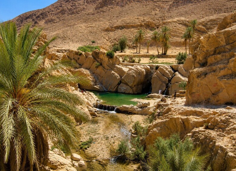 Picture 4 for Activity Boussaâda: Oasis, Sahara & Artistic Heritage Full-Day Tour 4