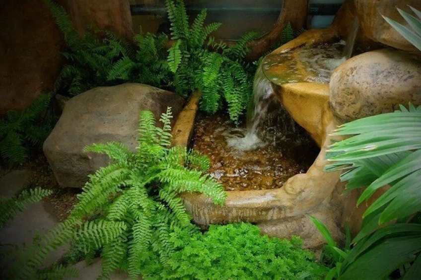 A small waterfall in a garden with ferns and rocks. 5