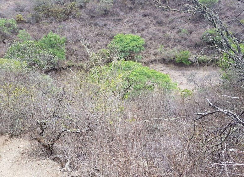 Picture 9 for Activity Santa Cruz: 3-Day Expedition Along the Che Route, Trekking, and Wild Nature 3