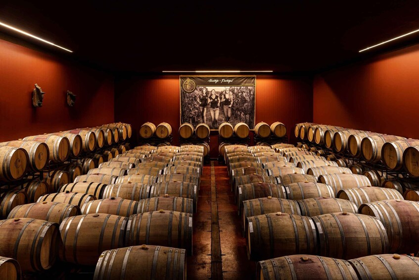 Picture 2 for Activity Quinta da Plansel Duo Wine Tasting and Tour 4