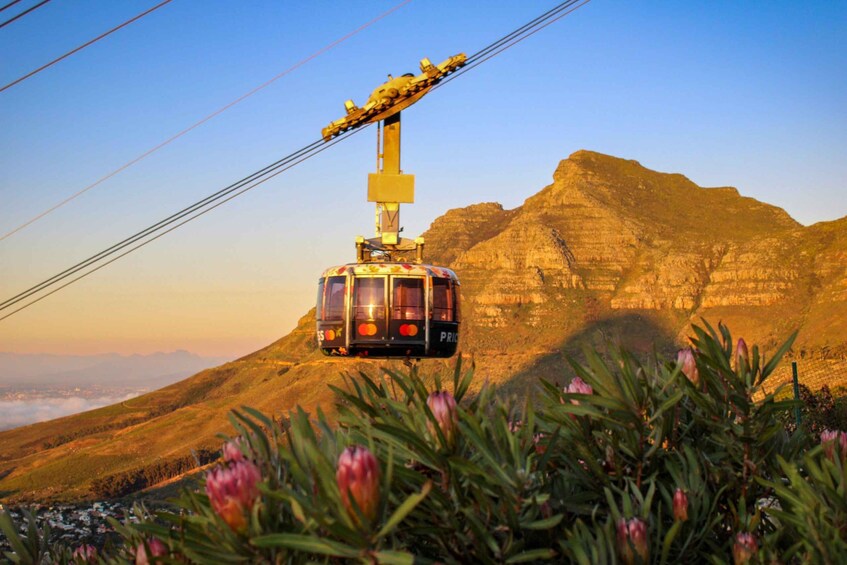 Table Mountain Cable Car Ticket from Cape Town 1