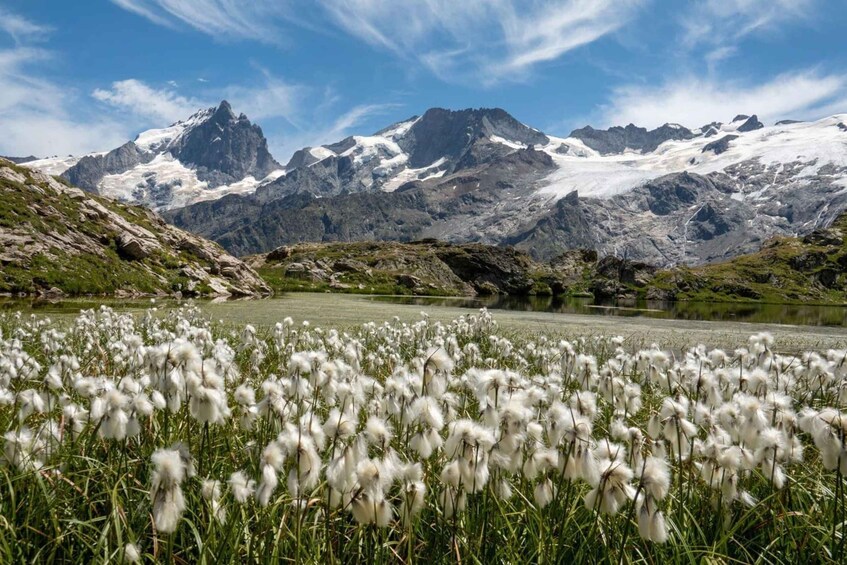 Emparis Plateau and Lakes Guided Hike with Picnic 1