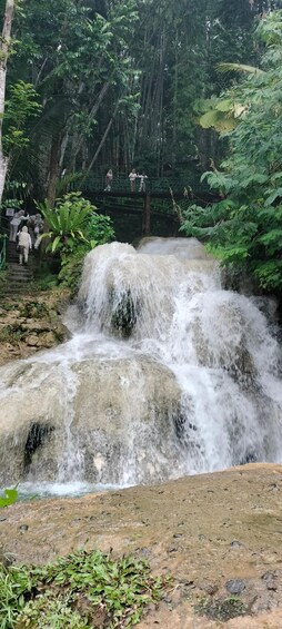 Picture 13 for Activity Yogyakarta: Village Cycling, Mudal River & Swimming Pools 2