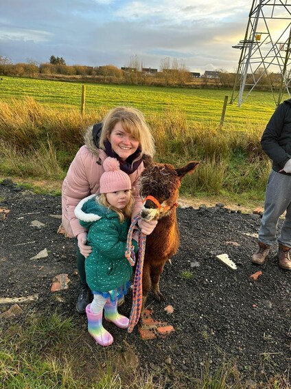 Picture 3 for Activity Ayrshire: Alpacas of Scotland Entry Ticket 3