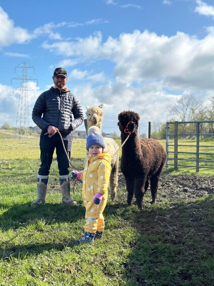 Picture 1 for Activity Ayrshire: Alpacas of Scotland Entry Ticket 4