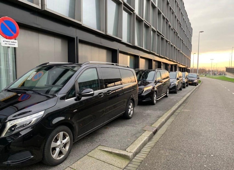 A row of black vans parked along a street with a no parking sign on the left. 4
