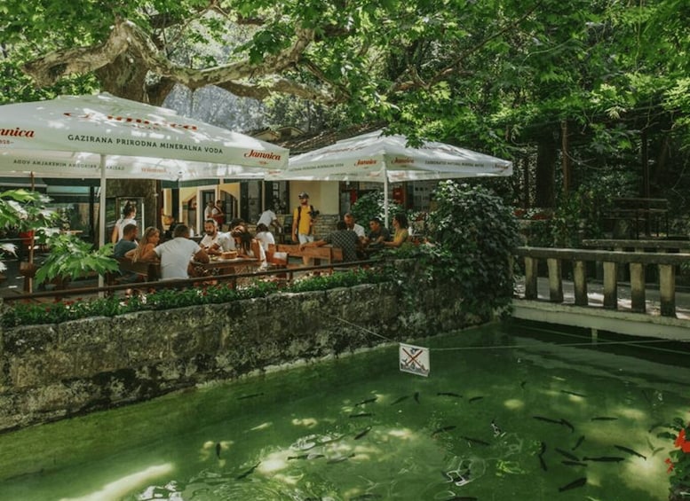 An outdoor café with white umbrellas and tables, surrounded by lush greenery and a small water feature. 2