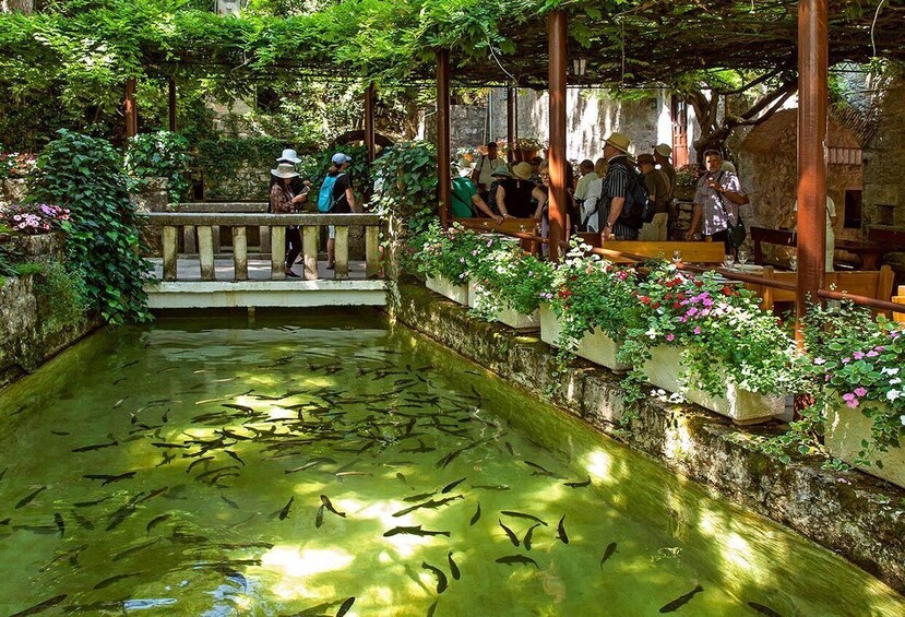 A garden with a pond, people, and a wooden bridge. 3