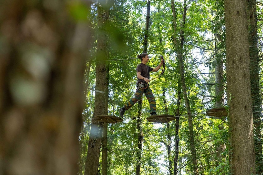 Jaujac: Tree climbing course without a harness for young children in Ardèche 1