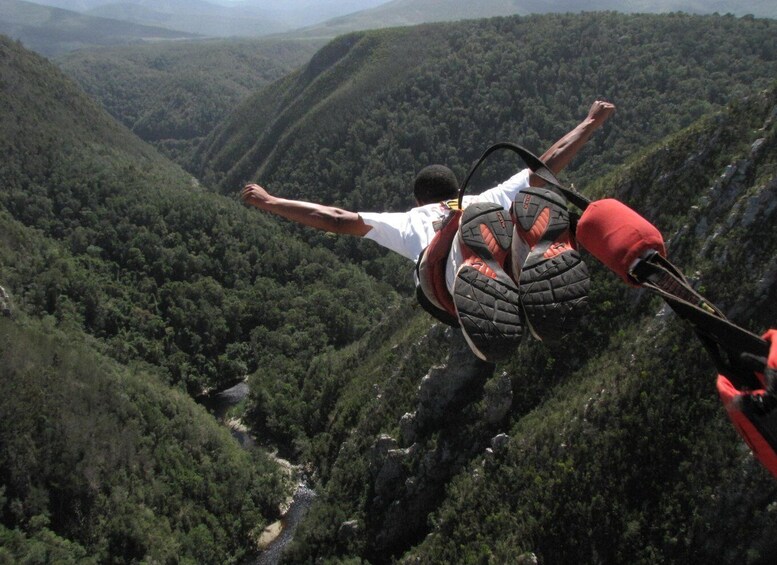 A person bungee jumping with outstretched arms over a forested valley. 1