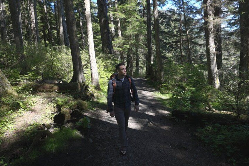 A person walking on a forest trail surrounded by tall trees. 3