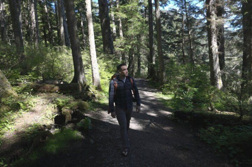 A person walking on a forest trail surrounded by tall trees and greenery. 5