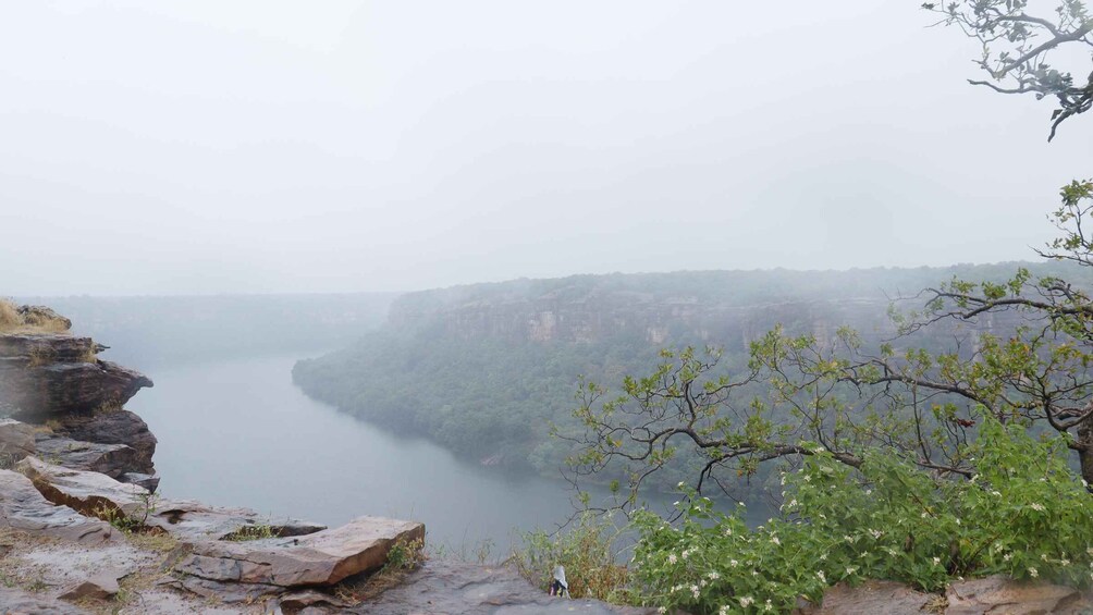 A river valley with a rocky overlook and dense forest. 1