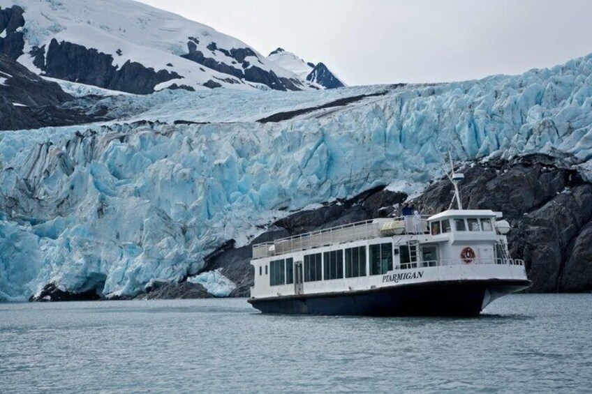 Glacier Cruise and Wildlife Discovery from Anchorage 2