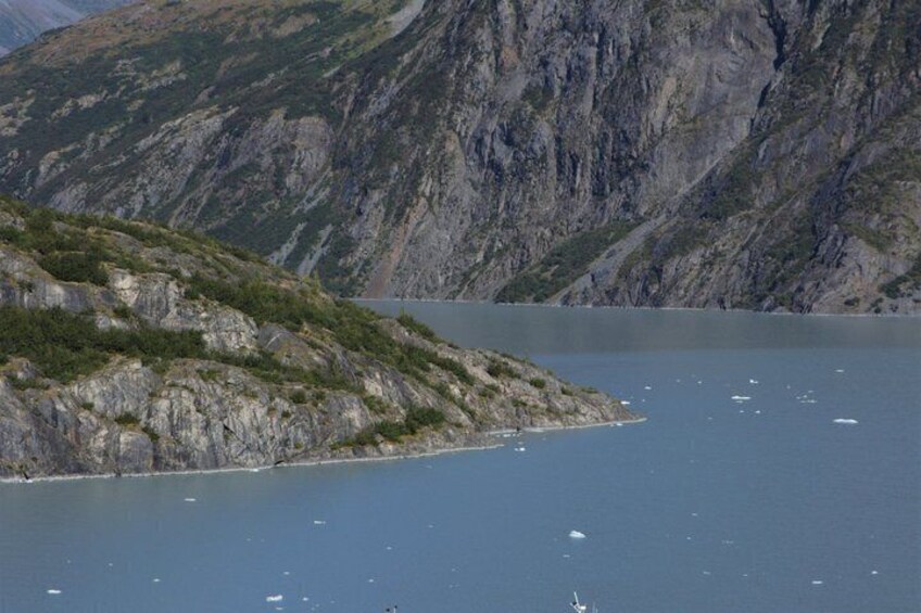Glacier Cruise and Wildlife Discovery from Anchorage 3