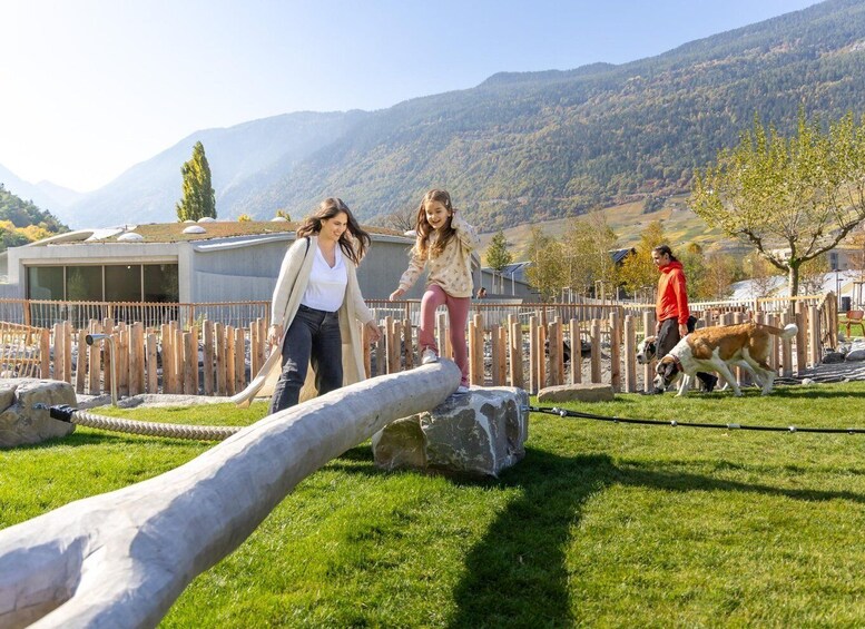 Picture 7 for Activity Martigny: Barryland Admission Ticket 2