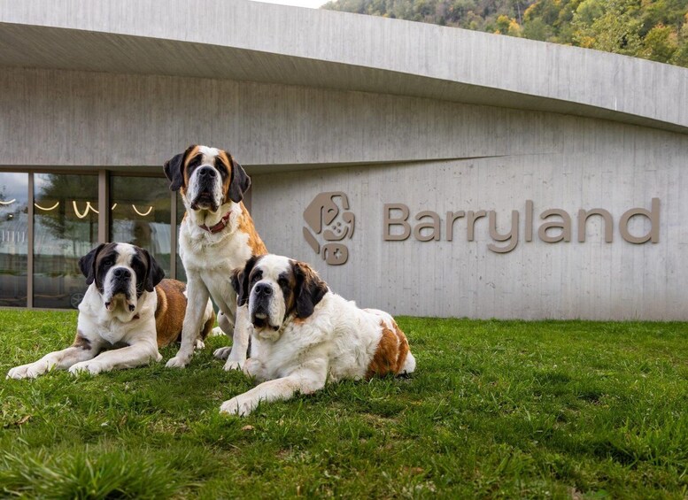 Martigny: Barryland Admission Ticket 1