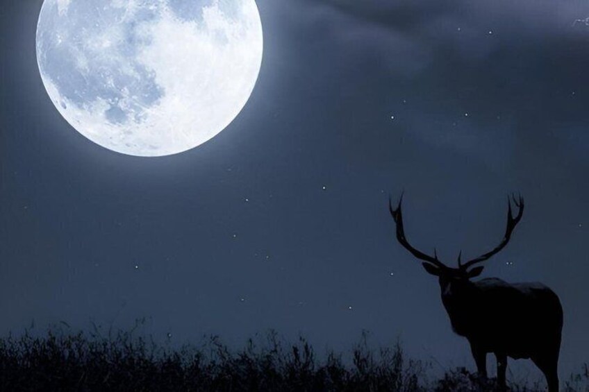 Dinner and full moon walk in Pieve di Marebbe 1