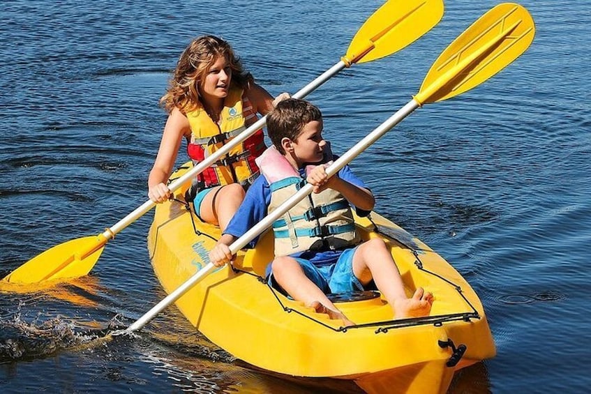 Key Largo: Mangrove Kayak Rental (Single or Double Kayaks) 1