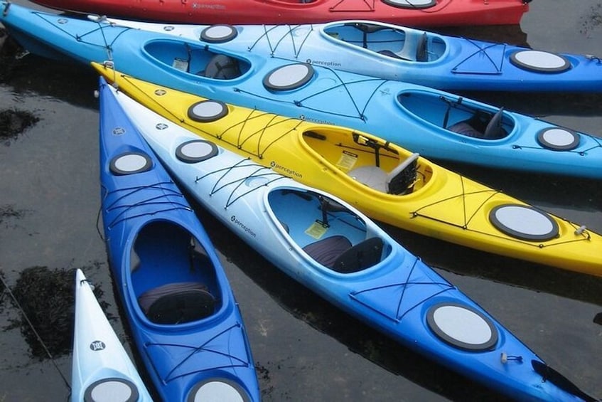 Key Largo: Mangrove Kayak Rental (Single or Double Kayaks) 5
