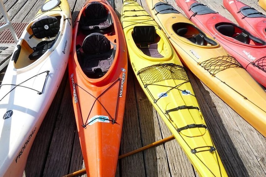 Key Largo: Mangrove Kayak Rental (Single or Double Kayaks) 4
