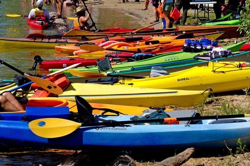 Key Largo: Mangrove Kayak Rental (Single or Double Kayaks) 2