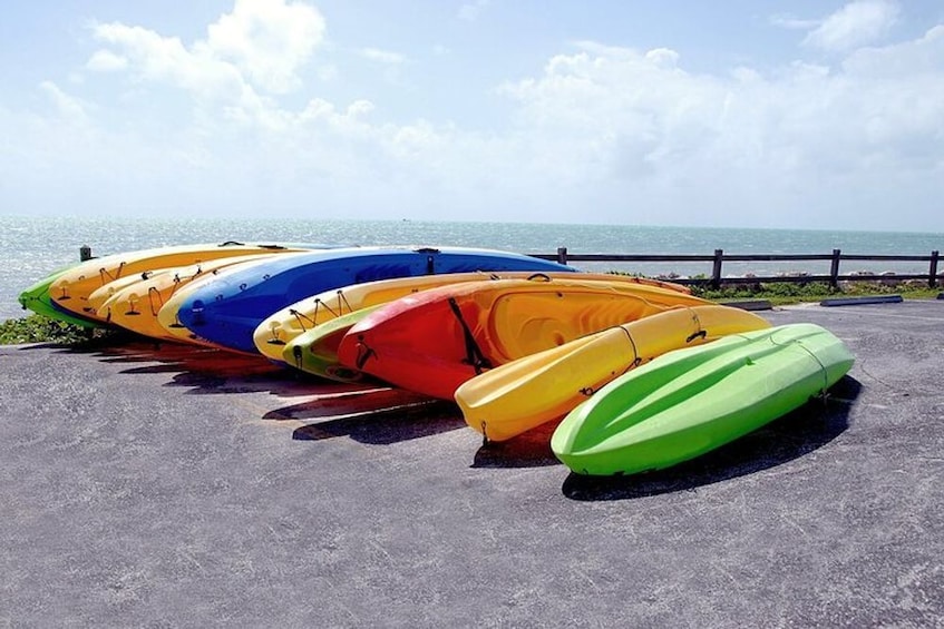 Key Largo: Mangrove Kayak Rental (Single or Double Kayaks) 3