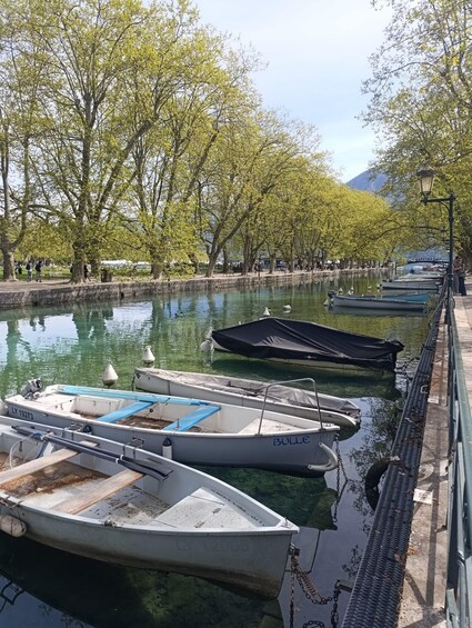 A calm river with boats docked along the bank, surrounded by trees and a clear sky. 2