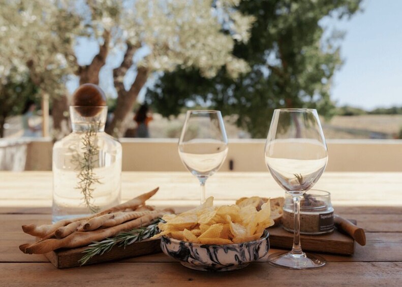 Picture 2 for Activity Aix-en-Provence: Visit a Lavender Field + Snacking at TERRE UGO 3