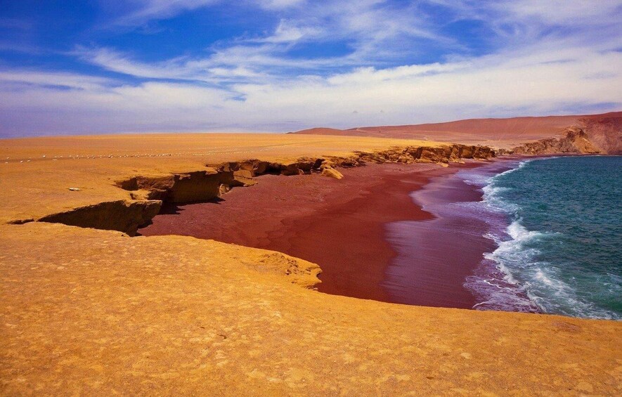 A desert landscape with a red sand beach and a body of water. 3
