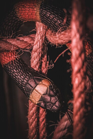 A close-up of intertwined ropes with a textured surface. 3