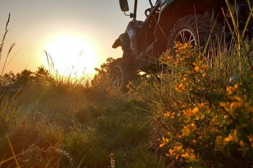 Buggy Tour in Serra da Lousa 2Hours Buggy 4 places 4